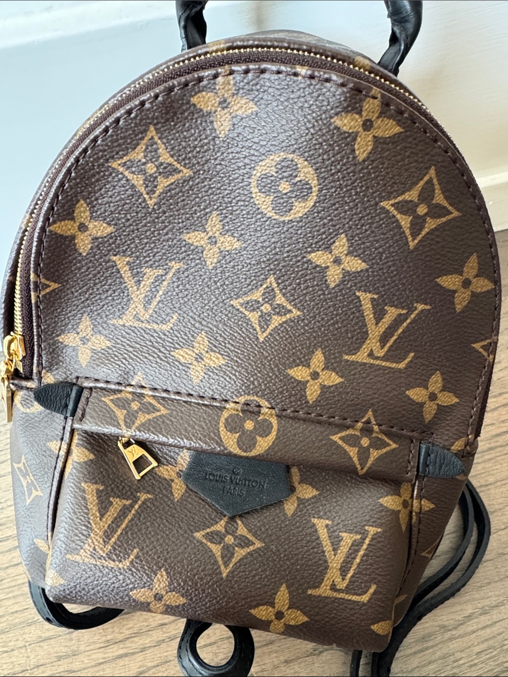 Louis Vuitton Mini Palm Springs Backpack in Brown with Gold Monogram - Picture 3 of 4